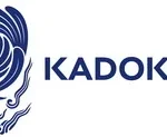 l'acquisition de Kadokawa